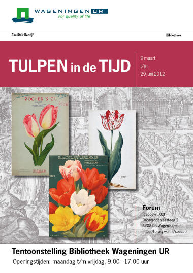 Tulpen in de tijd